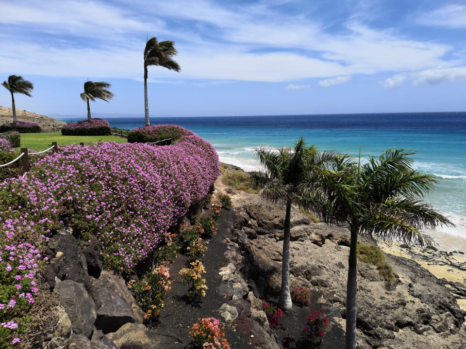 Gartenanlage Royal Palm Resort & Spa - Adults only