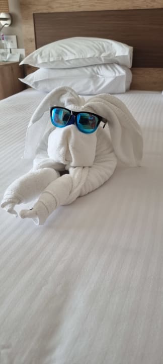 Zimmer Steigenberger Resort Ras Soma