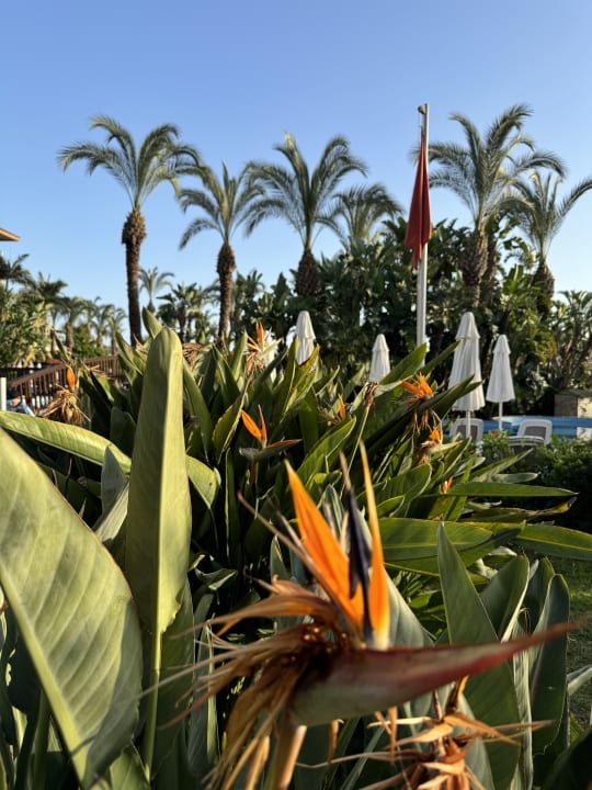 Gartenanlage Sunis Kumköy Beach Resort Hotel & Spa