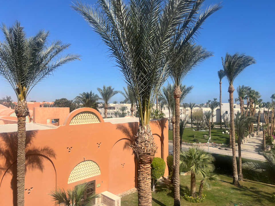 Gartenanlage Jaz Makadi Oasis Resort