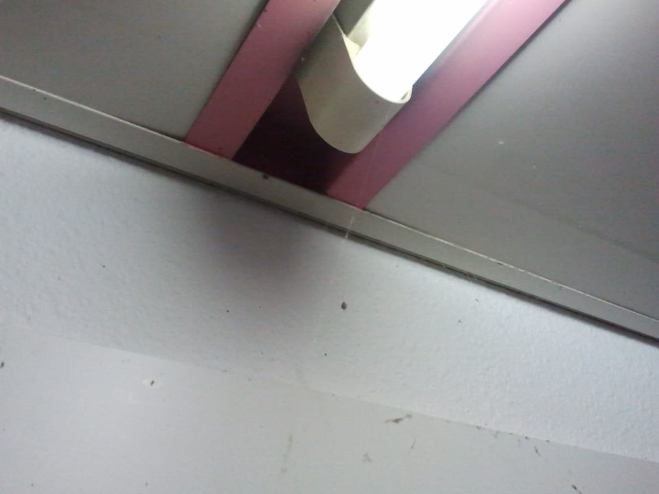 Sauberkeit ibis budget Hotel Chemnitz Sued West