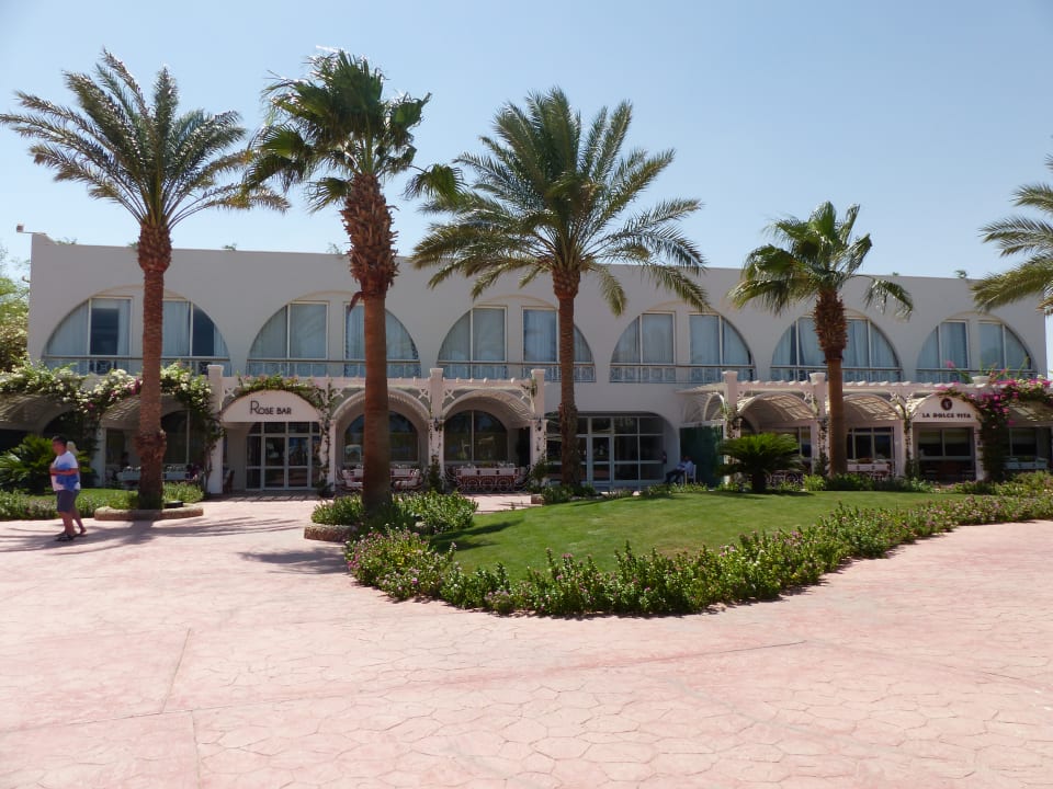 Außenansicht Desert Rose