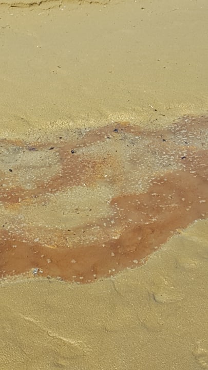 Strand Anemos Luxury Grand Resort