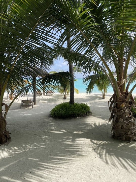 Strand Hotel Riu Atoll