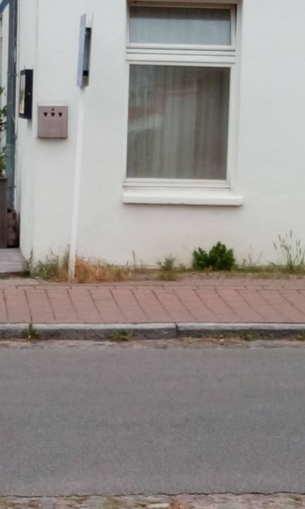 Hinterausgang (Unkraut) Strandhotel Ahlbeck