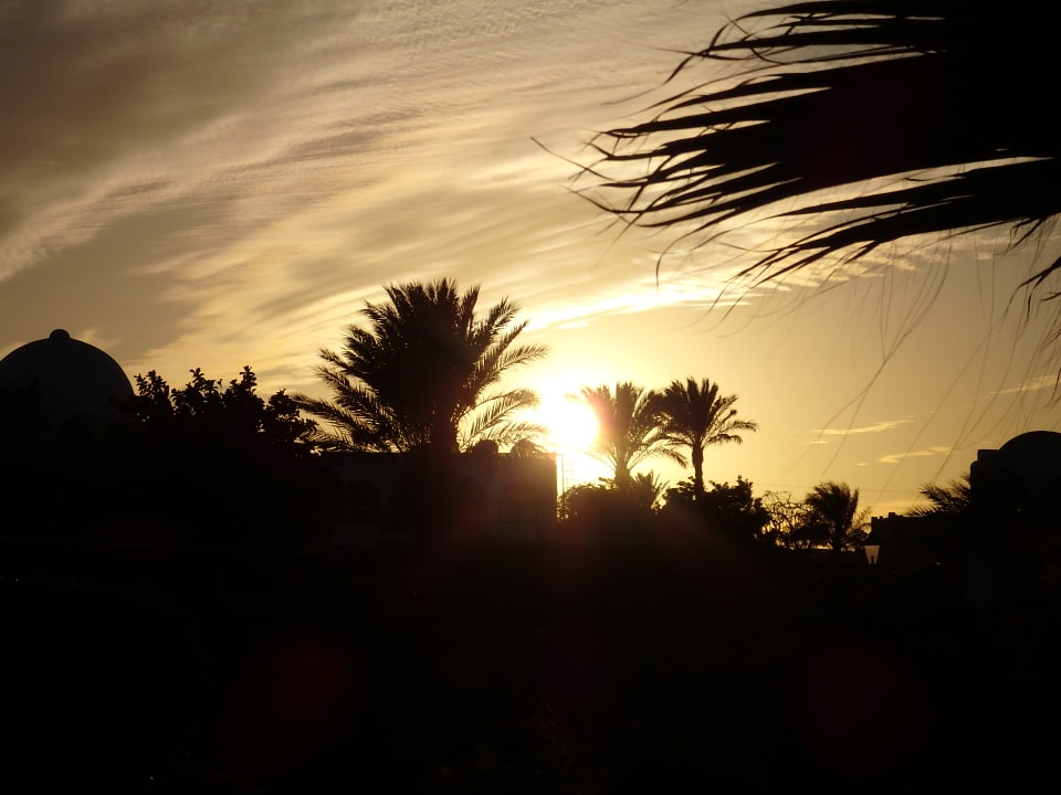 Ausblick Hotel Gorgonia Beach Resort