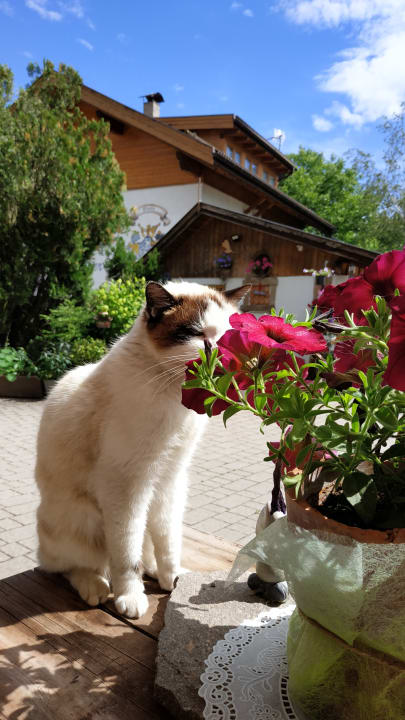 Sonstiges Bauernhof Pichlerhof