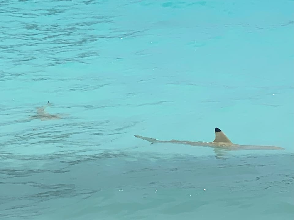 Strand Constance Halaveli Maldives