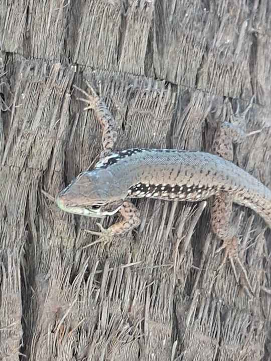 Sport & Freizeit Can Garden Resort