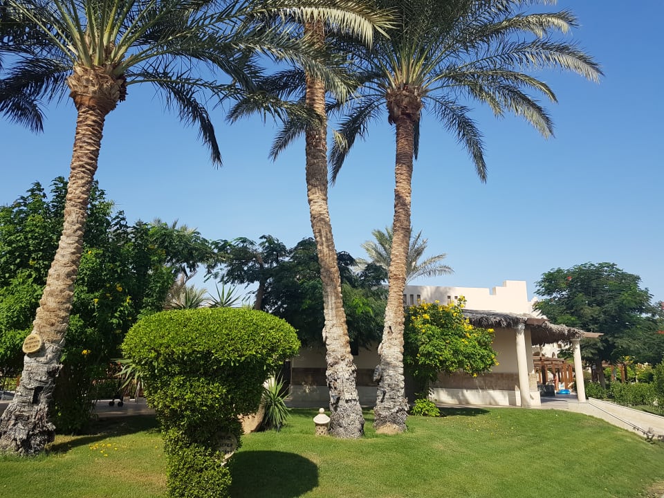 Außenansicht Hotel JAZ Makadi Star & Spa