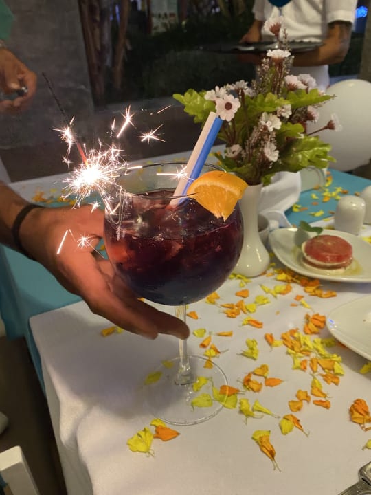 Gastro Quattro Beach Spa & Resort