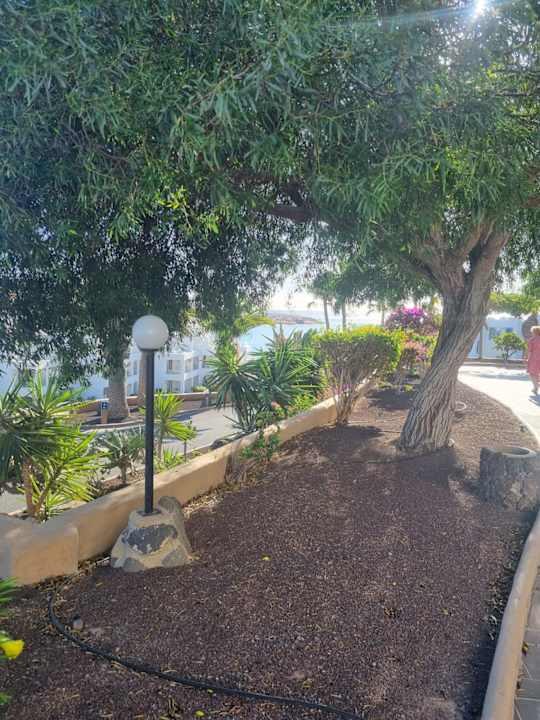 Gartenanlage Sotavento Beach Club