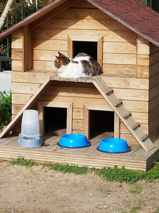 Außenansicht Aydinbey Kings Palace & Spa