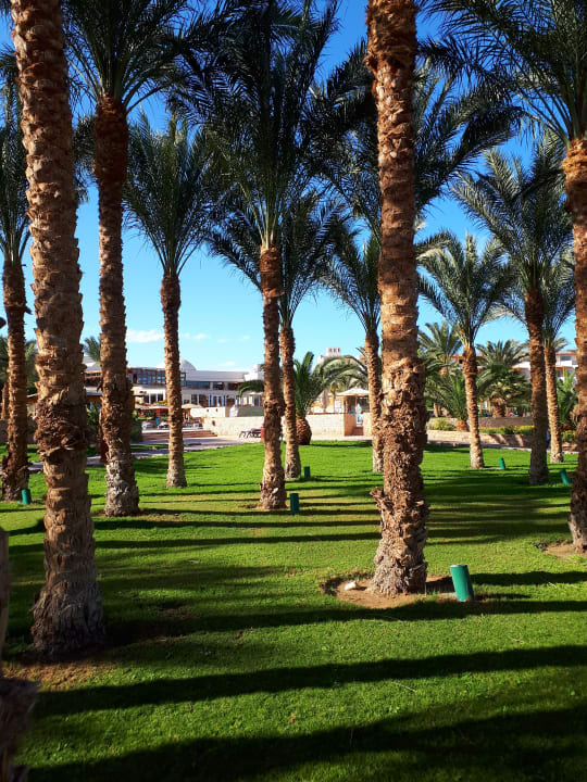 Gartenanlage Fort Arabesque Resort, Spa & Villas