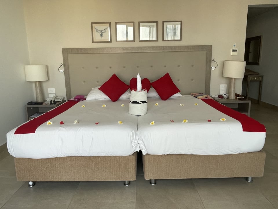 Zimmer Steigenberger Resort Alaya Marsa Alam - Red Sea - Adults only