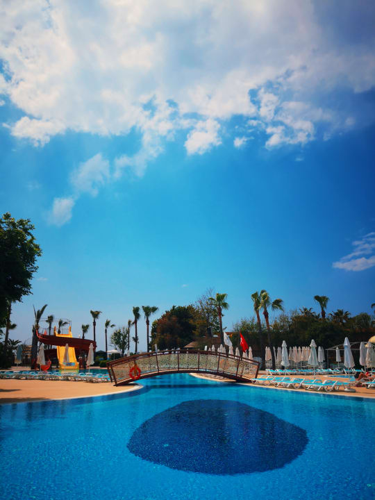 Pool Palmeras Beach Hotel