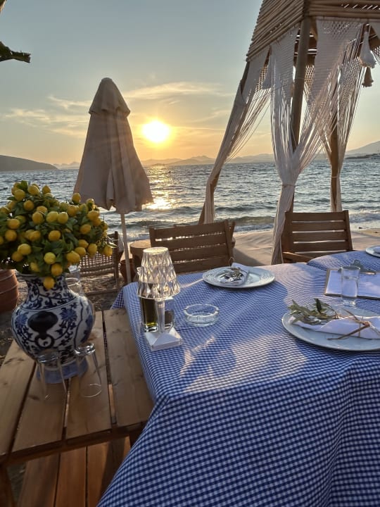 Gastro TUI MAGIC LIFE Bodrum - Adult Only (16+)