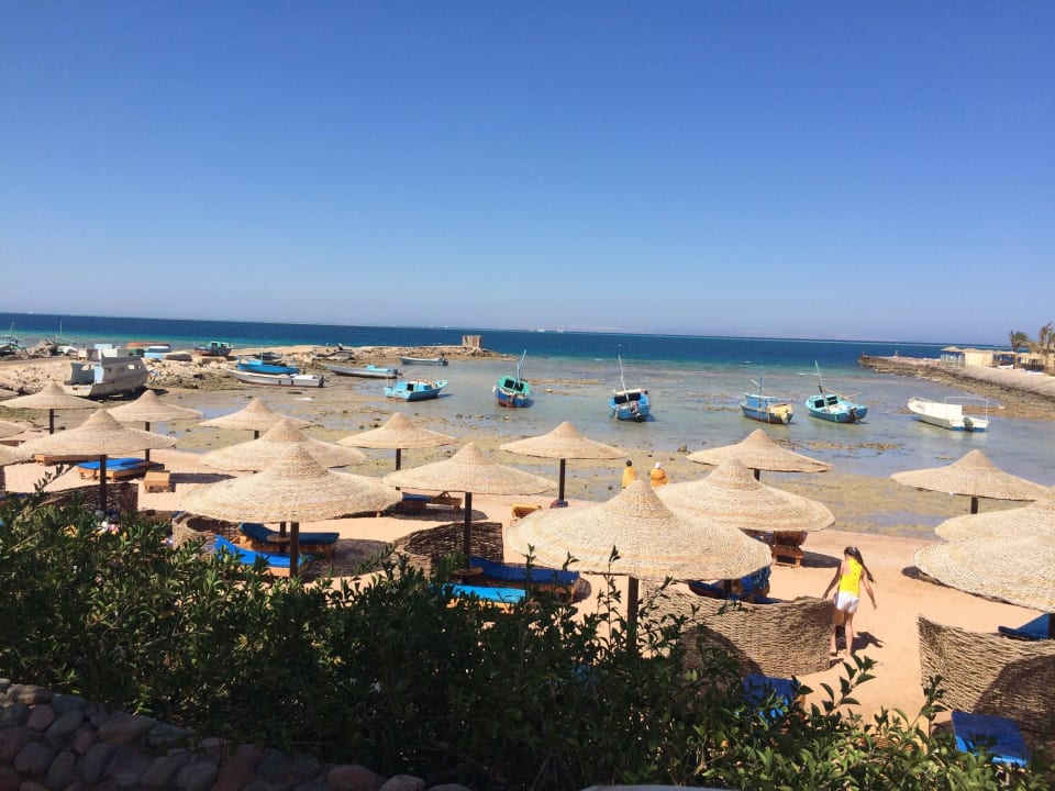 Hotel beach view from the pool Royal Star Beach Resort