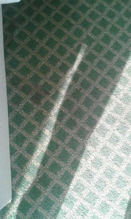 Teppich Hotel Residenz