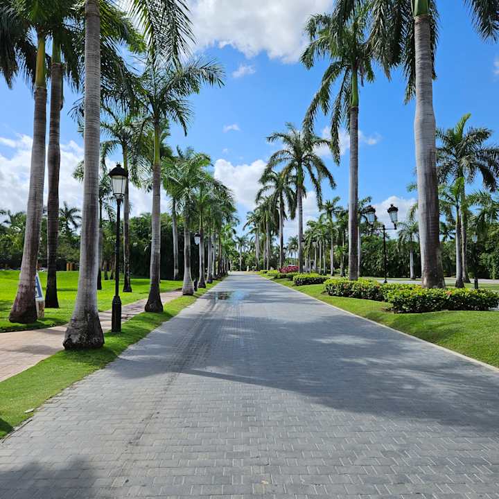 Gartenanlage Iberostar Selection Paraiso Maya Suites