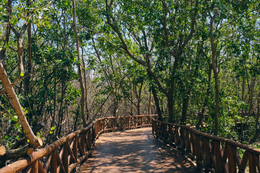 Gartenanlage Iberostar Selection Paraiso Maya Suites