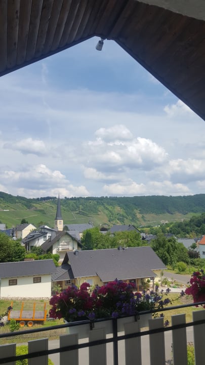 Ausblick Ferienweingut Jürgen Beth