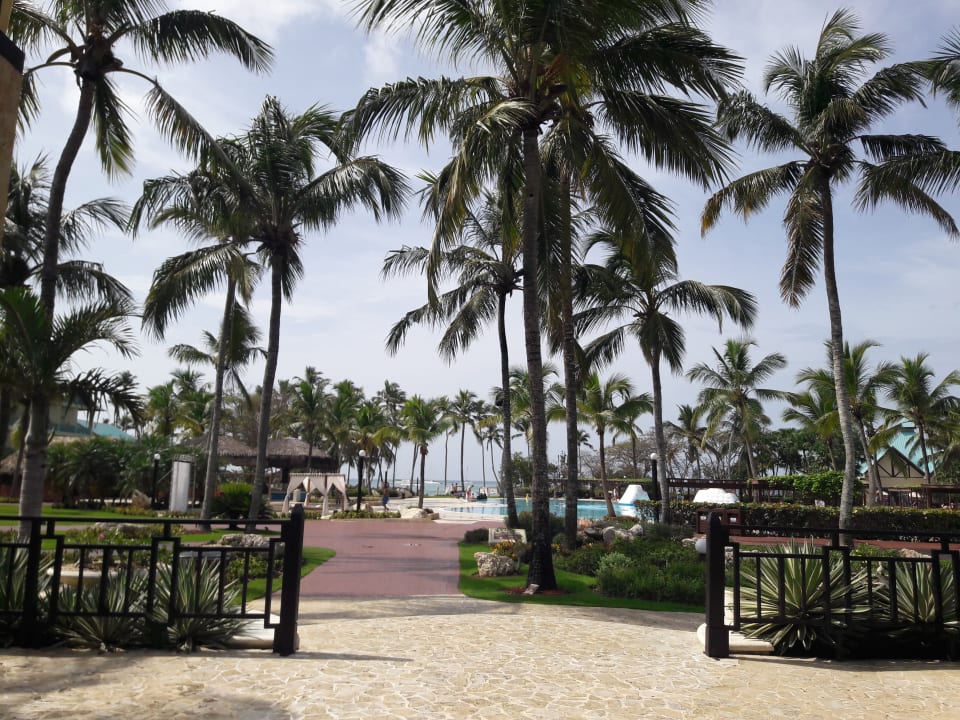 Pool Dreams La Romana Resort & Spa