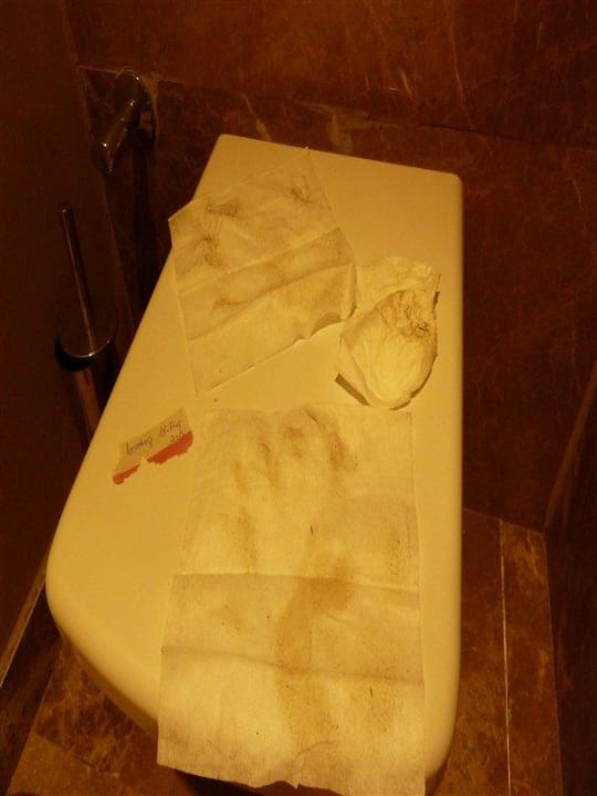 Zustand Toilette NACH dem Putzen Sherwood Blue Belek