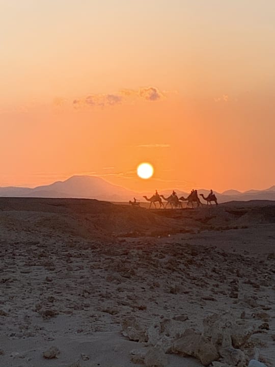 Ausblick Three Corners Sea Beach Resort