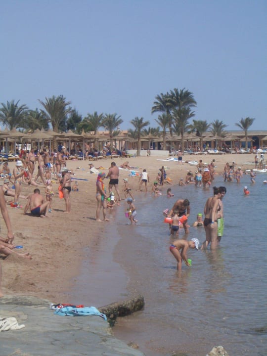 Überfüllter Strand - keine Erholung Beach Albatros Resort