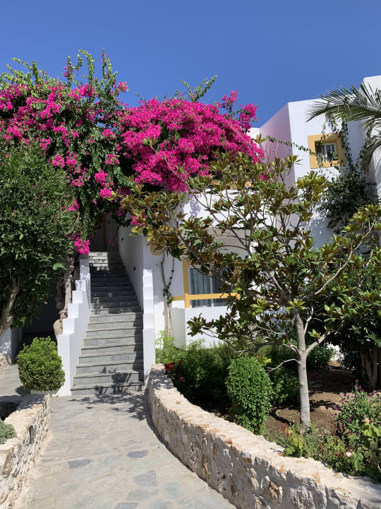 Gartenanlage Mastichari Bay Hotel