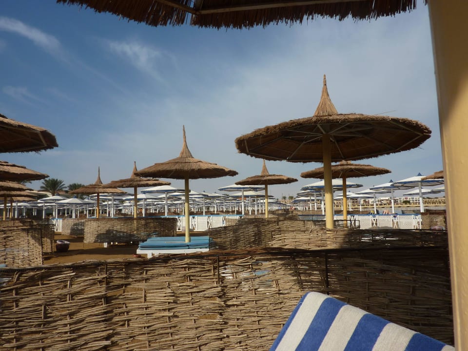 Strandliegen Pickalbatros Alf Leila Wa Leila Resort - Neverland Hurghada