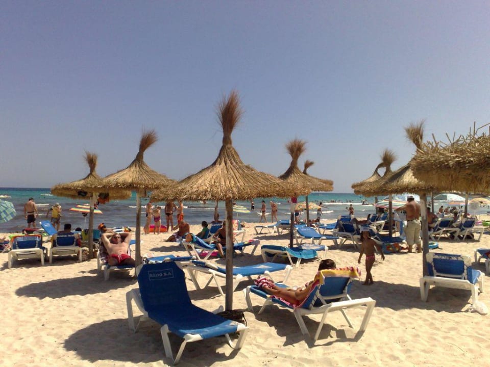 Strand in ca. 800m Entferung HSM Club Torre Blanca