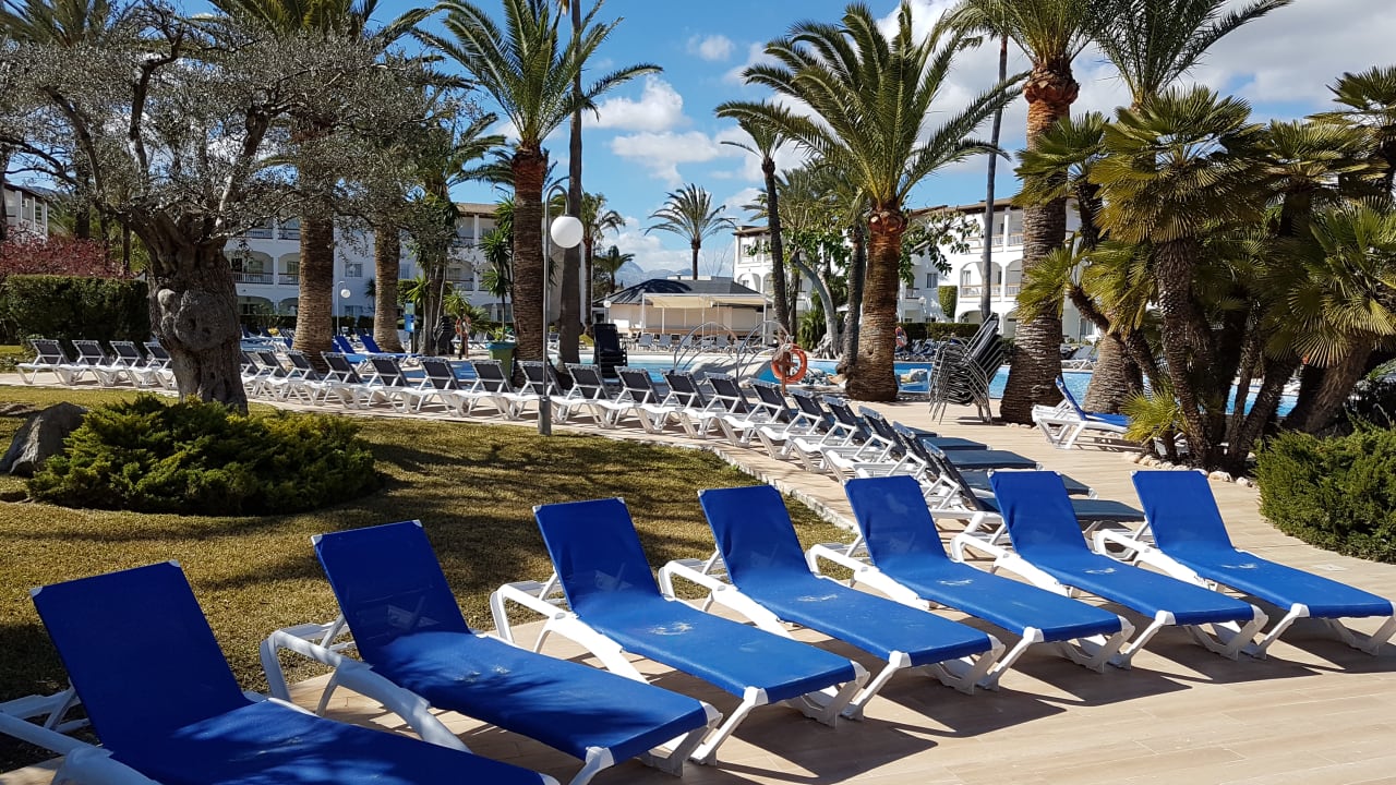 Pool Alcudia Garden Aparthotel