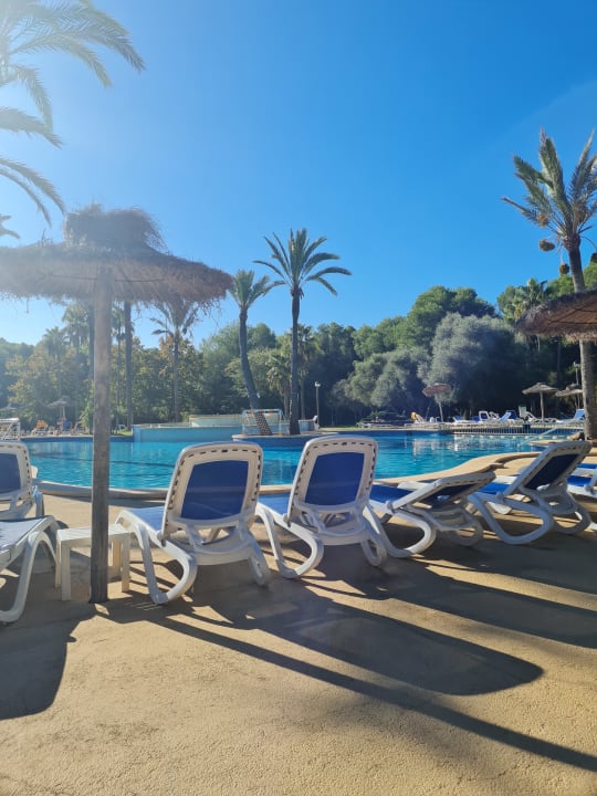 Gartenanlage Hotel Exagon Park