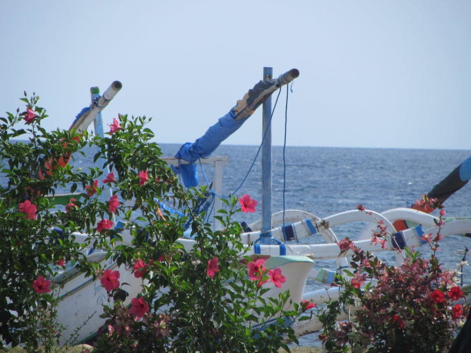 Fischerboote Life in Amed Resort