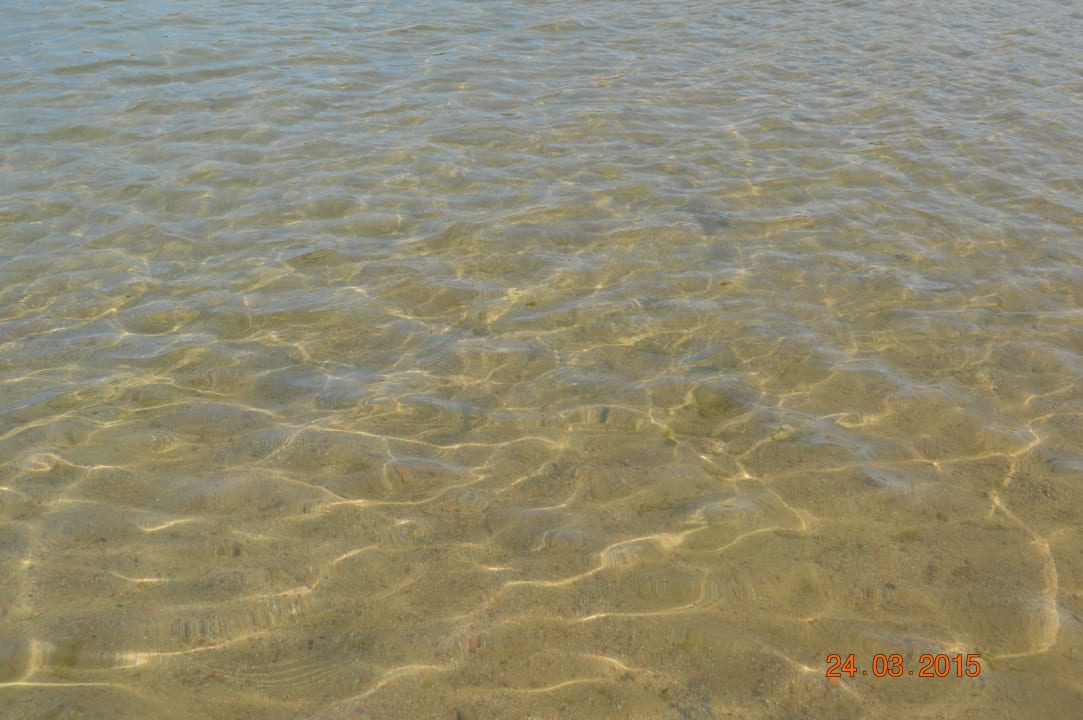 Море Desert Rose