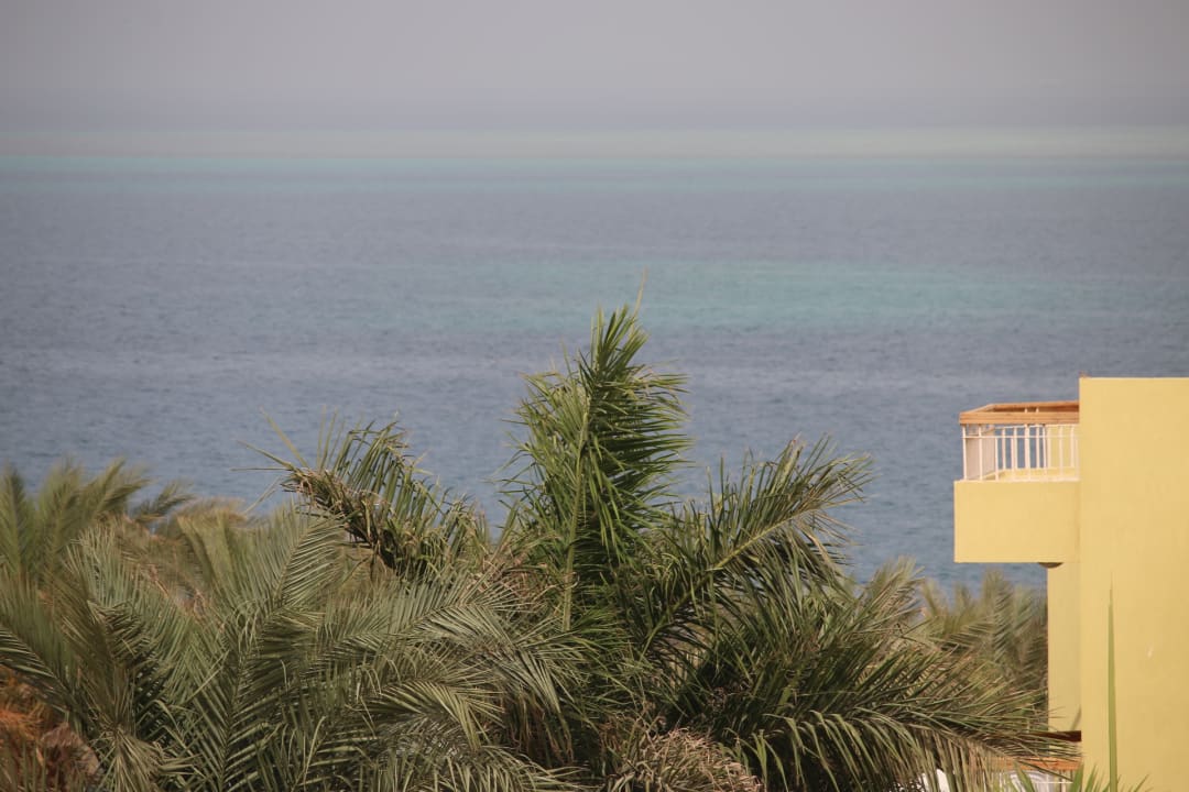 Ausblick Palm Beach Resort