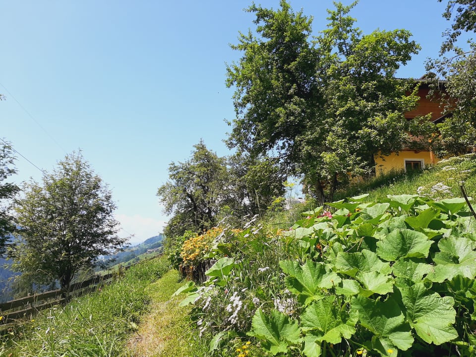 Außenansicht Landhof Kreuzsalgut