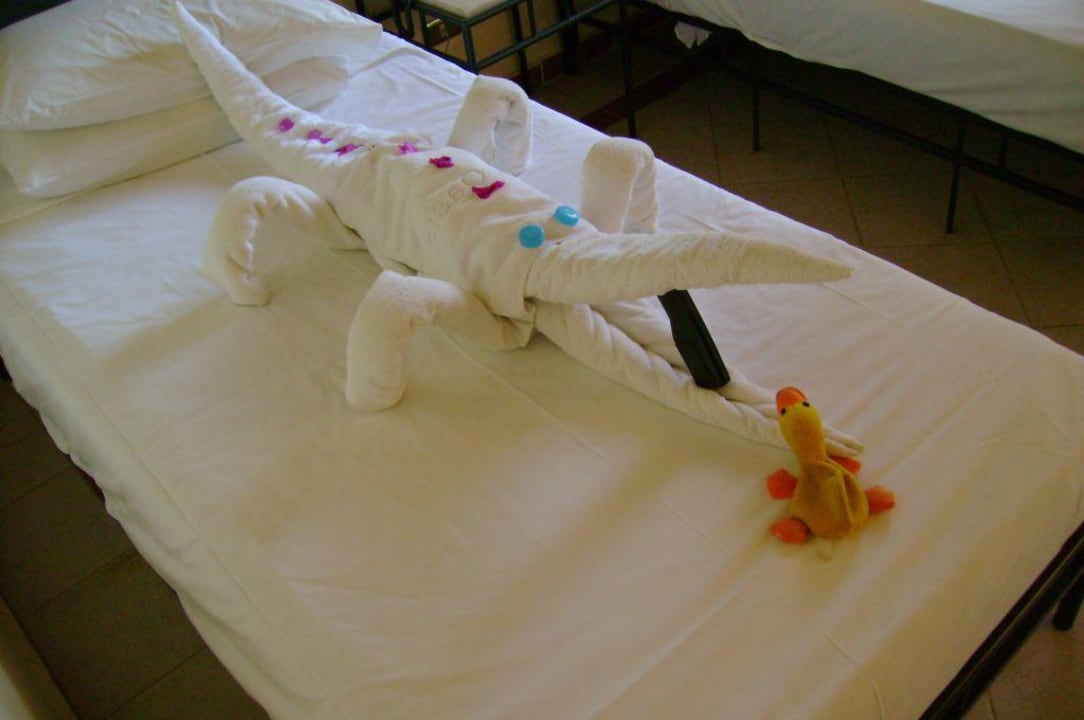 Handtuchkrokodil Jaz Makadi Oasis Resort