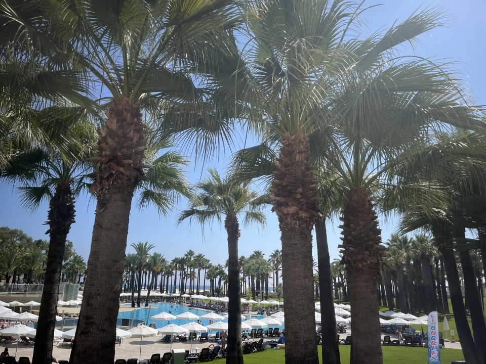 Pool Monachus Family Resort Sorgun