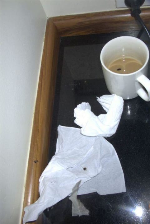 La Cucaracha Hotel Outrigger on the Lagoon - Fiji