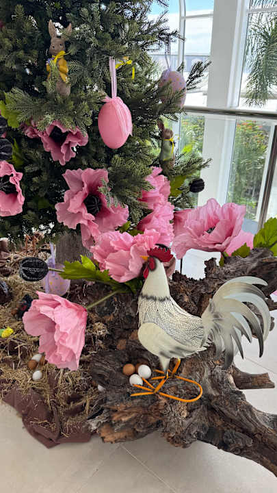 Gartenanlage Royal Palm Resort & Spa - Adults only