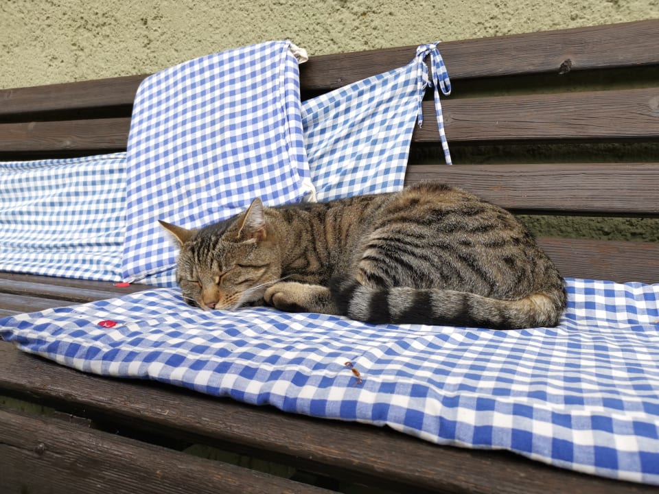 Sonstiges Comfort-Farm Zittrauerhof
