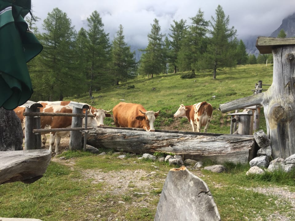 Sonstiges Hotel Bergglück