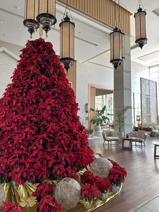 Lobby Steigenberger Resort Ras Soma