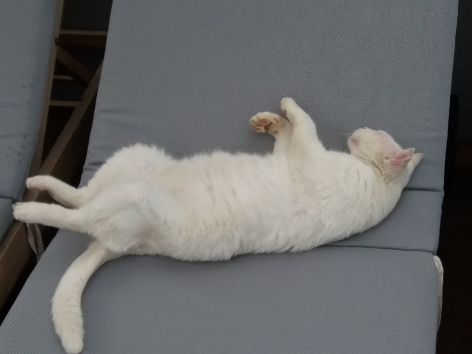 Sonstiges Pearl Beach