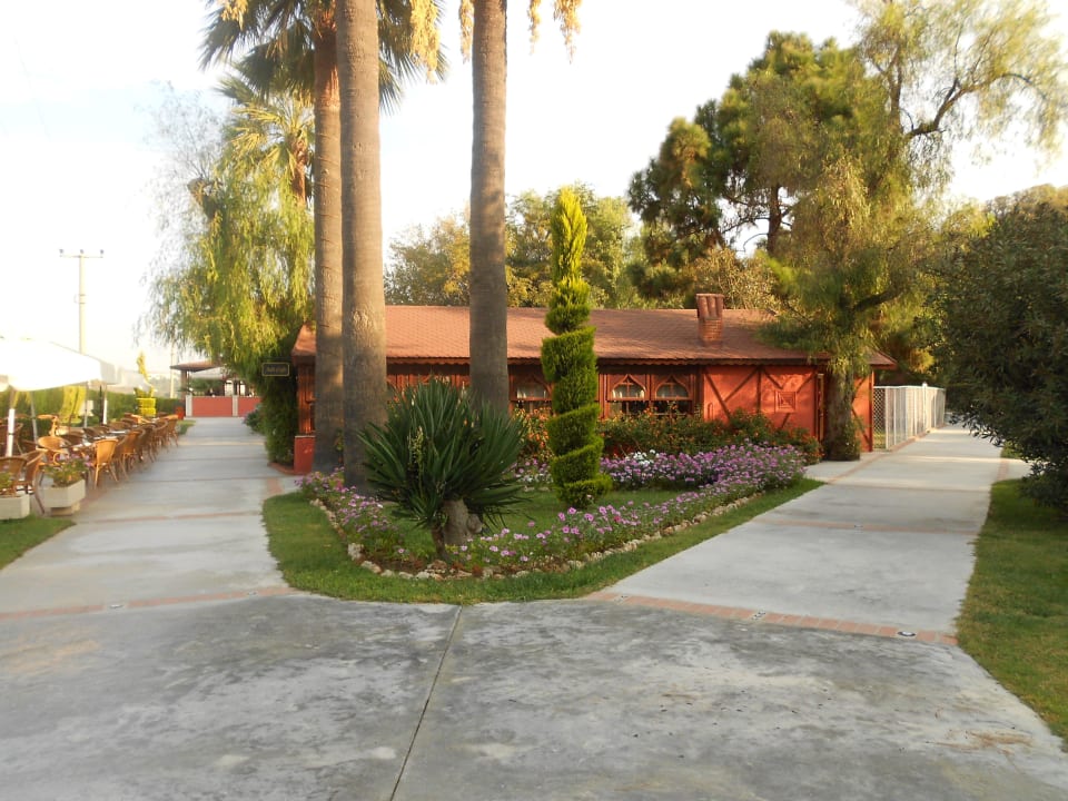 Ada-Café Kustur Club Holiday Village