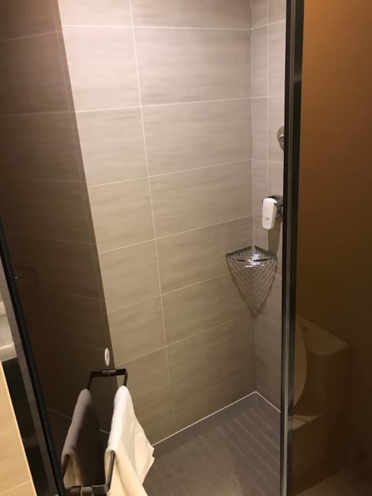 Zimmer Cordis Beijing Capital Airport