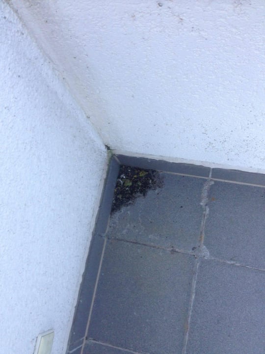 Balkon Rujana Ferienwohnungen - Altes Postamt